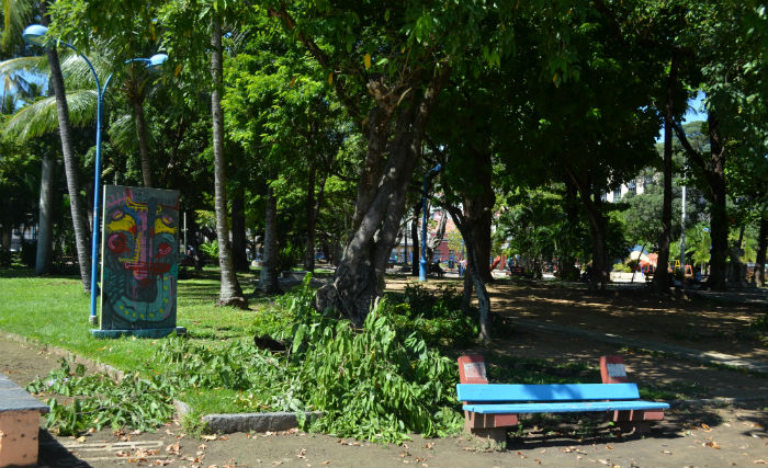 O Parque 13 de Maio &eacute; a maior &aacute;rea verde da zona central do Recife, com 6,9 hectares. Foto: Malu Cavalcanti/ESP. DP/
