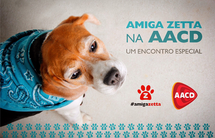 Zetta, cadelinha mascote do projeto, estará presente e vai recepcionar as crianças. Foto: Divulgação/