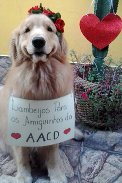 Seguidores podem mandar pelas redes sociais fotos dos seus animais, que serão mostradas no evento. Foto: Divulgação