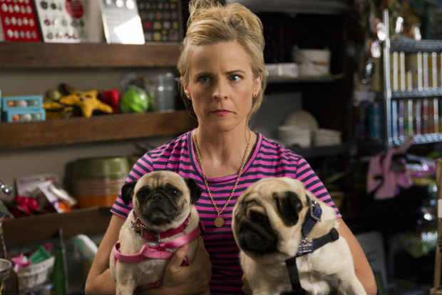 Lady Dynamite retornará para a segunda temporada apenas em 2017. Foto: Reprodução/Internet