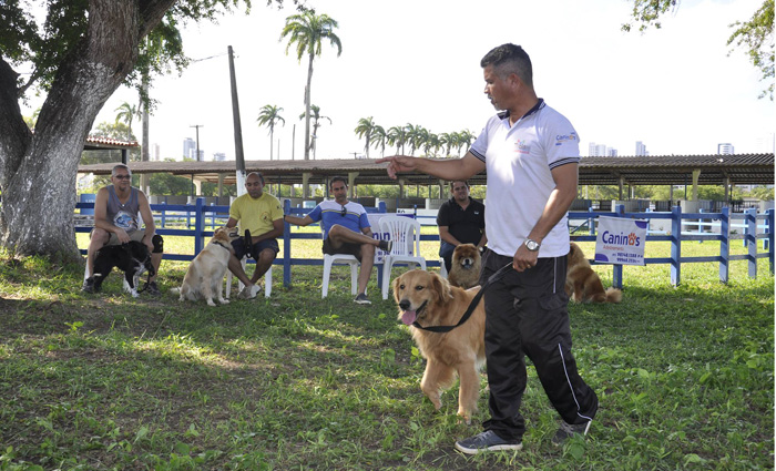 As aulas incluem correção dos maus hábitos e noções da psicologia canina. Foto: Divulgação/