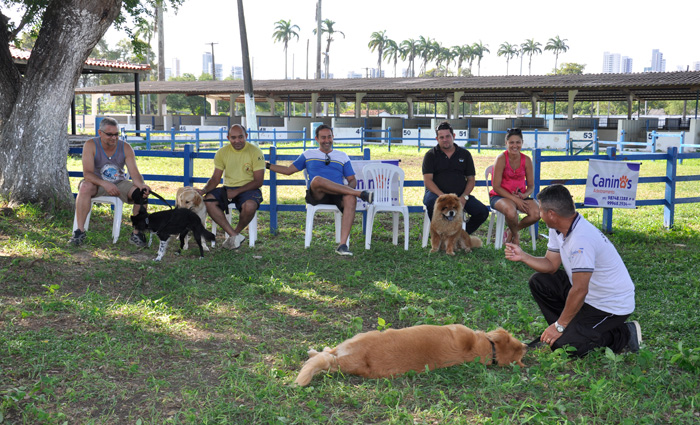 As aulas vão abordar temas como educação canina (correção dos maus hábitos), noções da psicologia canina, entre outros. Foto: Divulgação/ As aulas vão abordar temas como educação canina (correção dos maus hábitos), noções da psicologia canina, entre outros. Foto: Divulgação/