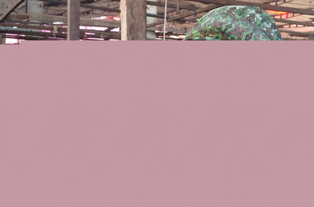 &Aacute;frica da Sorte retrata brasileira que vai trabalhar em pa&iacute;s fict&iacute;cio afriano. Foto: Aroma Filmes/Divulga&ccedil;&atilde;o/