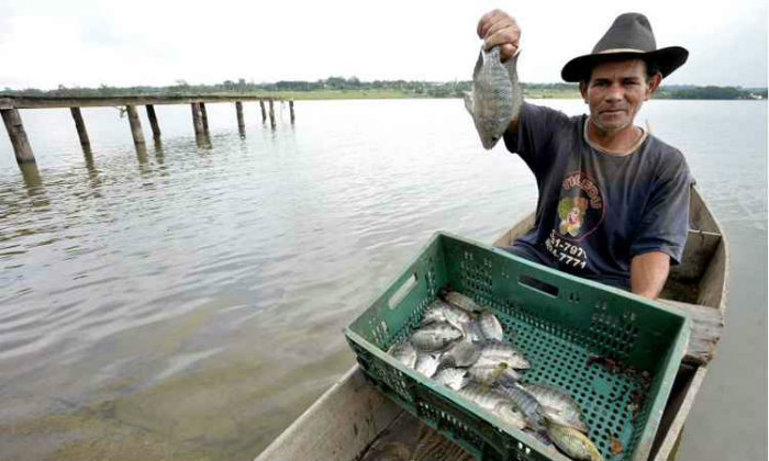 Gilmarzinho garante que não vai parar de pescar e vender o seu peixe. Foto: Marcelo Ferreira/CB/D.A Press/ Gilmarzinho garante que não vai parar de pescar e vender o seu peixe. Foto: Marcelo Ferreira/CB/D.A Press/