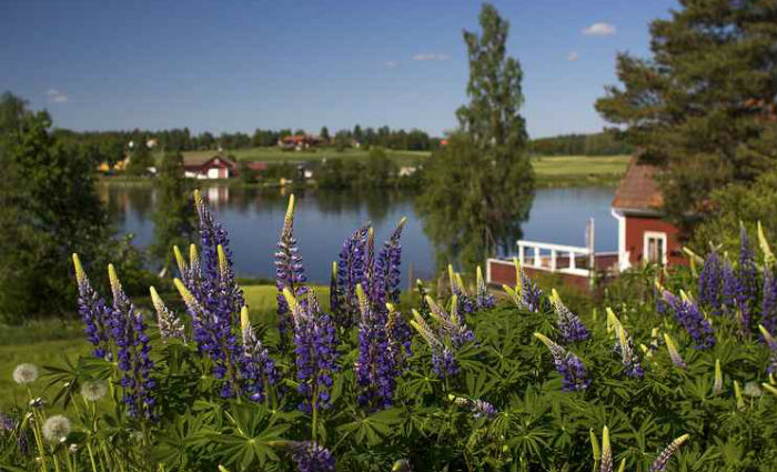 Foto: Reka Solymosi/Divulgação