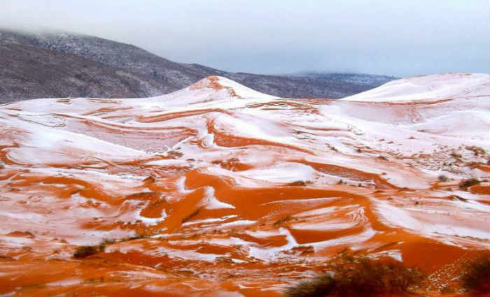 Não caía neve no Deserto do Saara desde 9 de fevereiro de 1979. Foto: Divulgação/Facebook/Karim Bouchetata/ Não caía neve no Deserto do Saara desde 9 de fevereiro de 1979. Foto: Divulgação/Facebook/Karim Bouchetata/