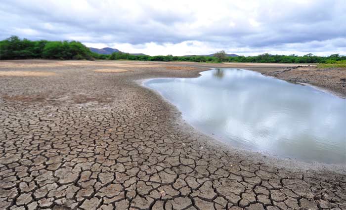 Após cinco anos seguidos de volume de chuvas abaixo da média histórica, a seca do semiárido já é considerada a maior do século. Foto: Annaclarice Almeida/DP