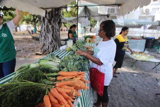 Feira agroecológica acontece toda quarta-feira em Santo Amaro. Crédito: Marlon Diego/Esp.DP