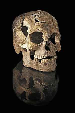 Para estudar os f&oacute;sseis, os pesquisadores fizeram modelos tridimensionais dos cr&acirc;nios. Foto: Mauricio de Paiva/Divulga&ccedil;&atilde;o/