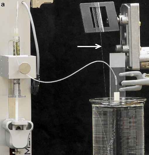 Um litro da biossolução gera matéria-prima para a produção de um quilômetro de seda artificial, que é tecida por um aparelho também criado pelos cientistas suecos. Foto: Marlene Andersson/ Universidade Sueca de Ciências Agrárias/Biologia Química