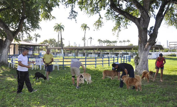 Os participantes também vão ser instruídos a respeito de, por exemplo como se aproximar de um cão agressivo e como lidar com essa agressividade. Foto: Divulgação/Nahum Anselmo/Os participantes também vão ser instruídos a respeito de, por exemplo como se aproximar de um cão agressivo e como lidar com essa agressividade. Foto: Divulgação/Nahum Anselmo Os participantes também vão ser instruídos a respeito de, por exemplo como se aproximar de um cão agressivo e como lidar com essa agressividade. Foto: Divulgação/Nahum Anselmo/Os participantes também vão ser instruídos a respeito de, por exemplo como se aproximar de um cão agressivo e como lidar com essa agressividade. Foto: Divulgação/Nahum Anselmo