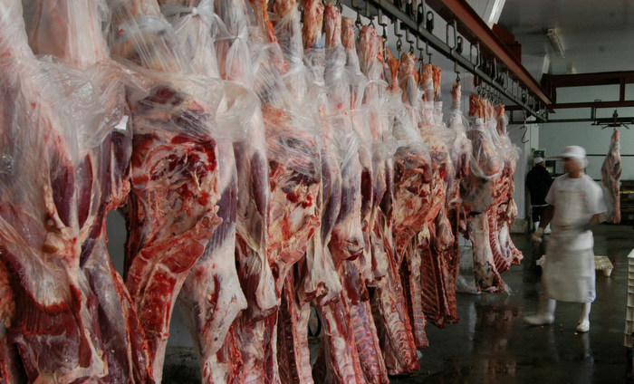 Carne bovina