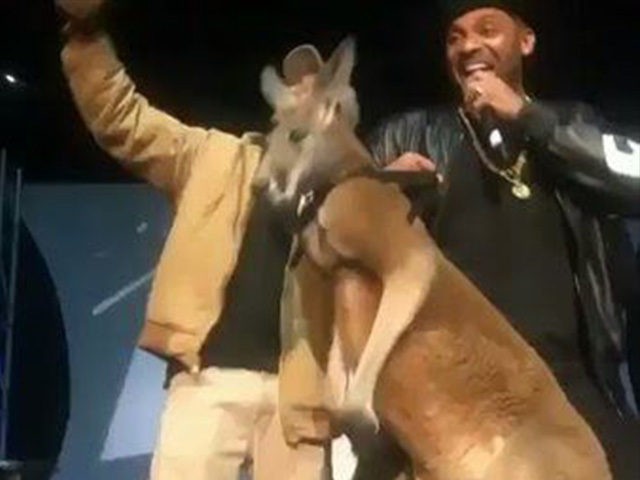 "Eu quero sinceramente pedir desculpas para todos. Eu não sou o dono do canguru e não queria machucar o animal de qualquer forma", declarou o comediante. Foto: YouTube/Reprodução/ "Eu quero sinceramente pedir desculpas para todos. Eu não sou o dono do canguru e não queria machucar o animal de qualquer forma", declarou o comediante. Foto: YouTube/Reprodução/