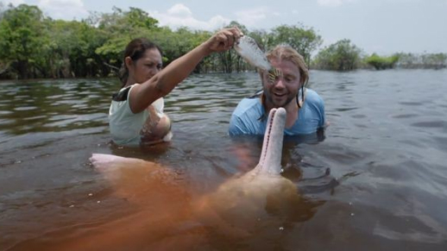 Biólogo e apresentador nada com boto rosa em trecho do documentário. Foto: A river below/Divulgação