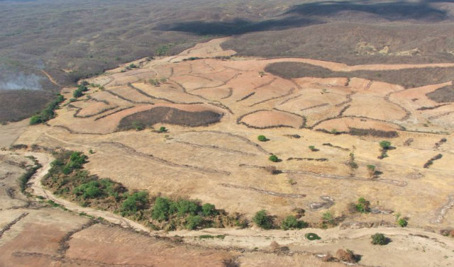 Área desmatada de Caatinga: pesquisa com base em dados de satélites. Foto: Correio Braziliense/Reprodução/ Área desmatada de Caatinga: pesquisa com base em dados de satélites. Foto: Correio Braziliense/Reprodução/