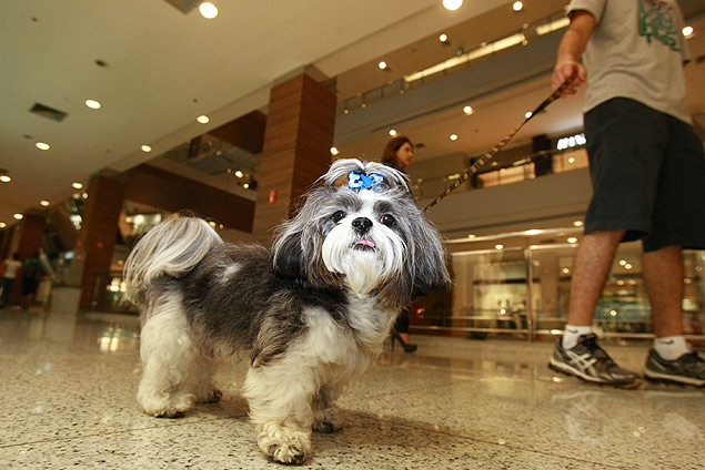 Pets poderão circular pelo mall de coleira, sem precisar estar em carrinhos ou nos braços dos donos. Foto: BlogPet.com/Reprodução/