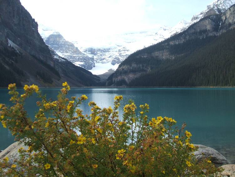 Vista de Lake Louise, Parque Nacional do Canada - Banf (foto: Silas Scalioni/EM/D.A Press -26/8/10)
