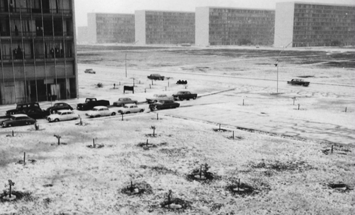 As imagens mostram as vias e os gramados da Esplanada dos Ministérios e ao redor da Rodoviária do Plano Piloto cobertos de branco, como se estivessem tomados por neve. Foto: Divulgação/