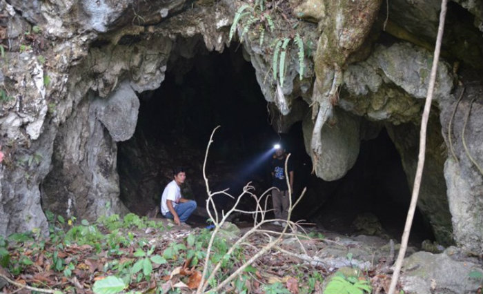 O trabalho também traz a evidência mais antiga de existência de homens modernos em florestas tropicais. Foto: Julien Louys/