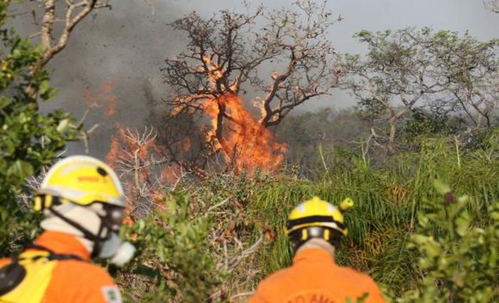 ICMBio e homens do Corpo de Bombeiros Militar do Distrito Federal (CBMDF) seguem trabalhando em duas áreas do parque atingidas pelo fogo nos últimos dias. Foto: Fabio Pozzebonn/Agência Brasil/ICMBio e homens do Corpo de Bombeiros Militar do Distrito Federal (CBMDF) seguem trabalhando em duas áreas do parque atingidas pelo fogo nos últimos dias. Foto: Fabio Pozzebonn/Agência Brasil ICMBio e homens do Corpo de Bombeiros Militar do Distrito Federal (CBMDF) seguem trabalhando em duas áreas do parque atingidas pelo fogo nos últimos dias. Foto: Fabio Pozzebonn/Agência Brasil/ICMBio e homens do Corpo de Bombeiros Militar do Distrito Federal (CBMDF) seguem trabalhando em duas áreas do parque atingidas pelo fogo nos últimos dias. Foto: Fabio Pozzebonn/Agência Brasil