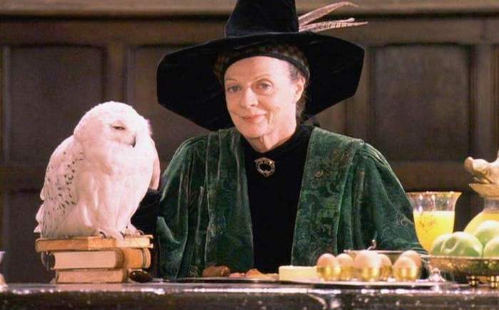 Minerva McGonagall - Foto: Warner/Divulgação