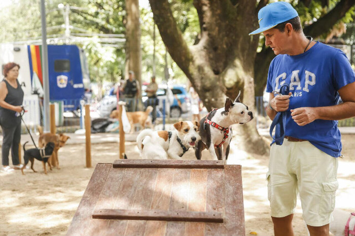 Parcão na Jaqueira e seus obstaculos de agility recreativos/Andréa Rêgo Barros/PCR Parcão na Jaqueira e seus obstaculos de agility recreativos/Andréa Rêgo Barros/PCR