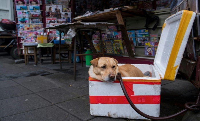 Foto: AFP/Arquivos / Johannes EISELE/ Foto: AFP/Arquivos / Johannes EISELE/