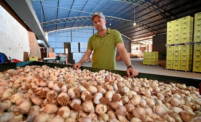Produtor rural de Planaltina, Luciano Martarello diz que vai estocar a produção para vender no fim do ano por um preço melhor. Foto: Ed Alves/CB/D.A Press/ Produtor rural de Planaltina, Luciano Martarello diz que vai estocar a produção para vender no fim do ano por um preço melhor. Foto: Ed Alves/CB/D.A Press/