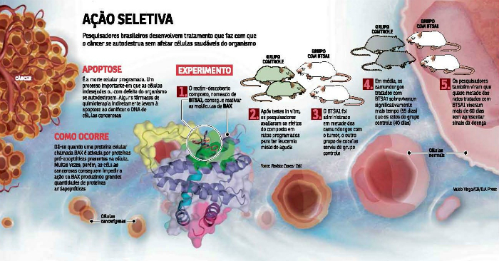 Composto que consegue ativar a proteína que desencadeia esse processo de suicídio dos agentes tumorais. Foto: Valdo Vigor/Correio Braziliense/