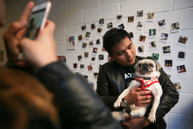 Sally costuma publicar fotos de seu pug fantasiado no Instagram. Foto: AFP/