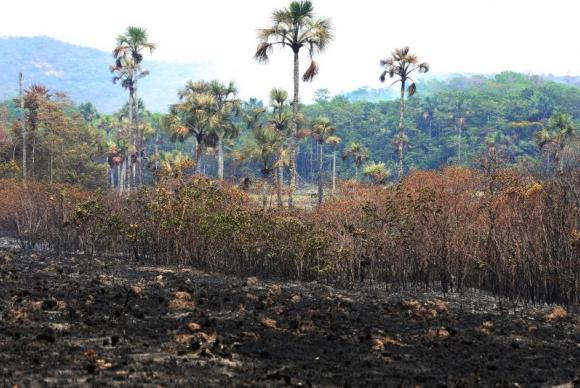 O incêndio, considerado o maior da história do parque, é avaliado como criminoso. A polícia está investigando o caso. Foto: Valter Campanato/Arquivo/Agência Brasil/ O incêndio, considerado o maior da história do parque, é avaliado como criminoso. A polícia está investigando o caso. Foto: Valter Campanato/Arquivo/Agência Brasil/