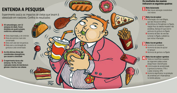 Dieta que combina excesso de a&ccedil;&uacute;car e gordura aumenta o estado inflamat&oacute;rio do tecido adiposo. Foto: Reprodu&ccedil;&atilde;o/