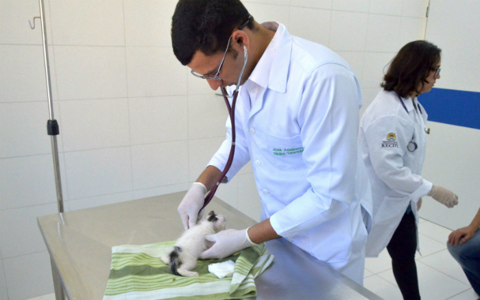 Após o procedimento, o animal recebe alta médica no mesmo dia. Foto: Luciano Ferreira/Arquivo PCR/Divulgação/Após o procedimento, o animal recebe alta médica no mesmo dia. Foto: Luciano Ferreira/Arquivo PCR/Divulgação Após o procedimento, o animal recebe alta médica no mesmo dia. Foto: Luciano Ferreira/Arquivo PCR/Divulgação/Após o procedimento, o animal recebe alta médica no mesmo dia. Foto: Luciano Ferreira/Arquivo PCR/Divulgação