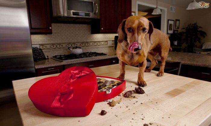 Foto: ShutterStock/Photo/ Foto: ShutterStock/Photo/