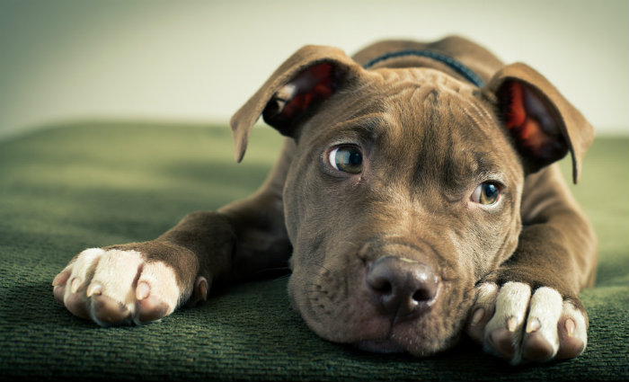 Foto: Brad Tombers/Flickr/Foto: Brad Tombers/Flickr