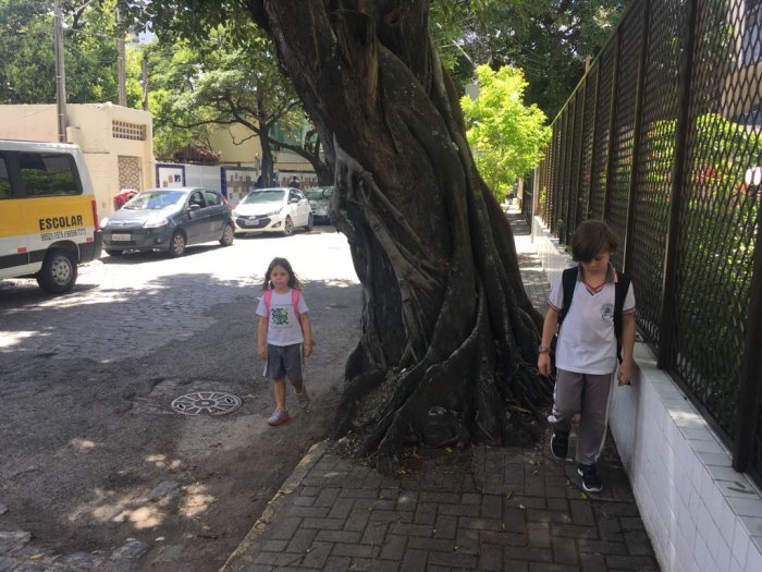 Caminho percorrido pelos filhos da arquiteta e urbanista Clarissa Duarte no deslocamento para a escola. Crédito: Aquivo Pessoal