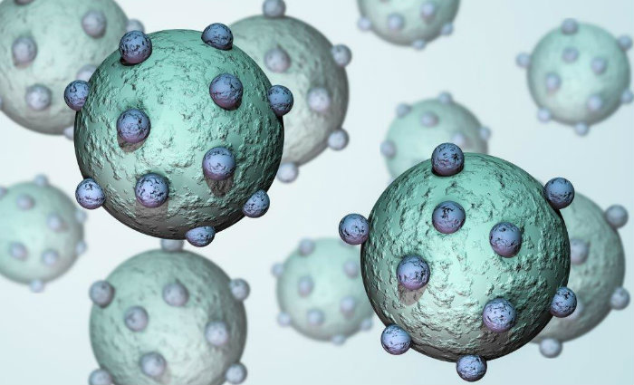 Os dois tipos são considerados de uma complexidade genética jamais encontrada em qualquer outro. Foto: Internet/ Reprodução/Foto: Internet/ Reprodução Os dois tipos são considerados de uma complexidade genética jamais encontrada em qualquer outro. Foto: Internet/ Reprodução/Foto: Internet/ Reprodução