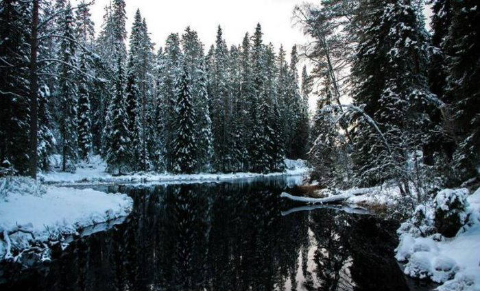 Foto: Hartmut Walter/Flickr