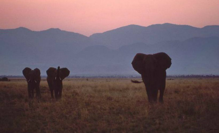 Foto: Hartmut Walter/Flickr