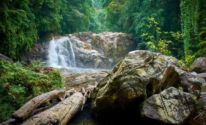 Foto: michael.adamczuk/Flickr