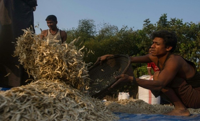 Foto: AFP/Arquivos / Phyo Hein KYAW/ Foto: AFP/Arquivos / Phyo Hein KYAW/
