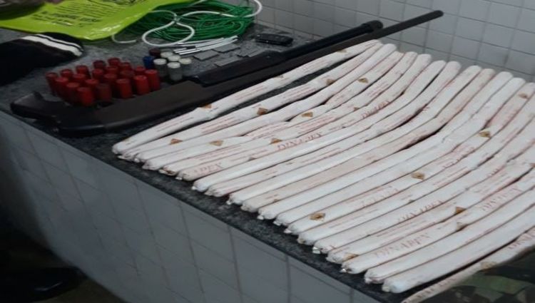Foram apreendidos 20 bananas de dinamite, uma espingarda com muni&ccedil;&otilde;es. Foto: Reprodu&ccedil;&atilde;o/ Pol&iacute;cia Militar/Reprodu&ccedil;&atilde;o/ Pol&iacute;cia Militar