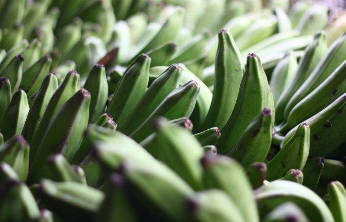 A Ceasa-PE já registra uma baixa na oferta de bananas pelos comerciantes atacadistas. Foto: Arquivo/DP/