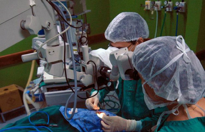 Transplante (Elza Fi&uacute;za/Arquivo Ag&ecirc;ncia Brasil)/