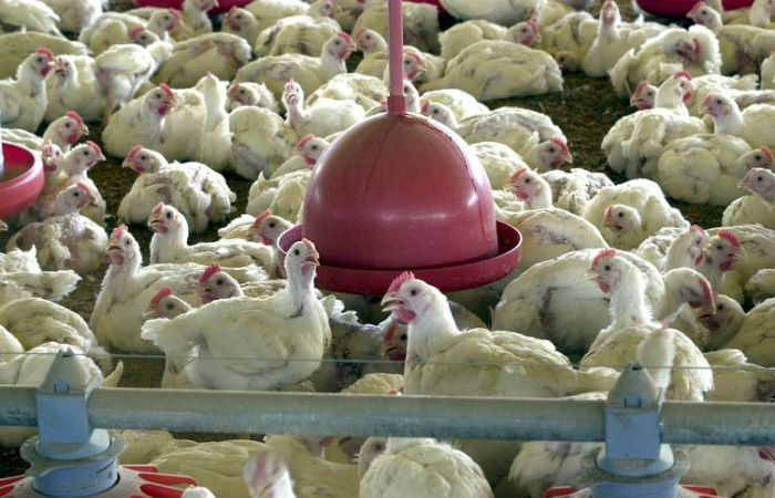 Foto: Remy Gabalda/AFP/