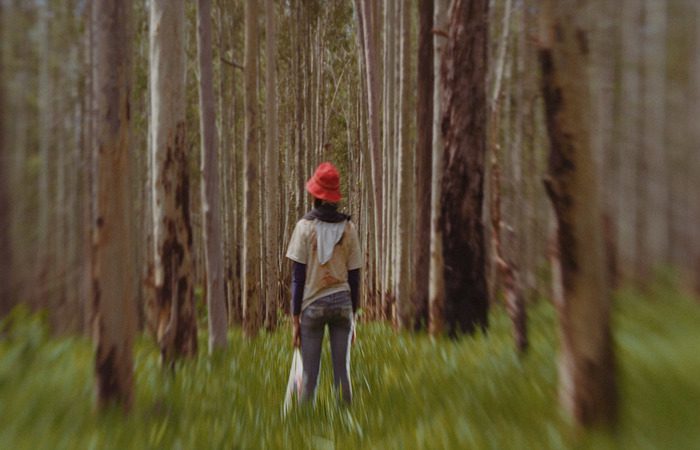 Still de Meninas Formicida, do diretor Jo&atilde;o Paulo Mirana Maria (SP)/Foto: Divulga&ccedil;&atilde;o