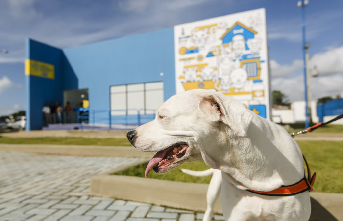 Foto: Andr&eacute;a R&ecirc;go Barros/PCR/