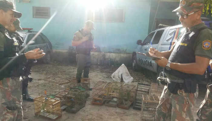 Aves foram entregues ao CETA/CPRH e serão soltas na natureza/PMPE Aves foram entregues ao CETA/CPRH e serão soltas na natureza/PMPE
