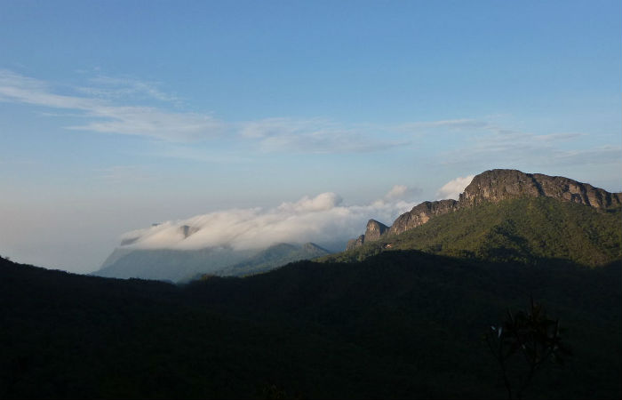 Pico da Neblina, na fronteira do Brasil com a Venezuela, foi um dos pontos de pesquisa da equipe
Foto: MichelBlind / Creative Commons/