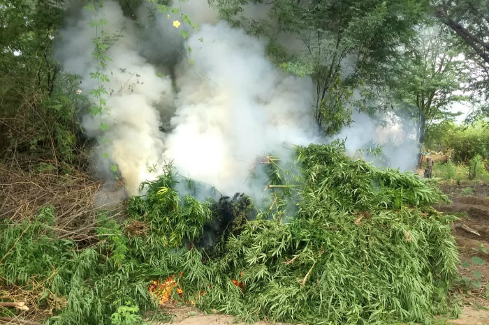 A droga foi incinerada no local. Foto: Polícia Militar/Divulgação/